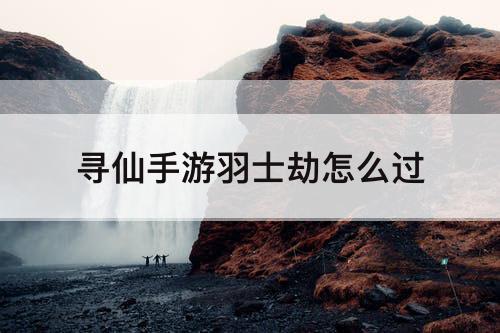 寻仙手游羽士劫怎么过