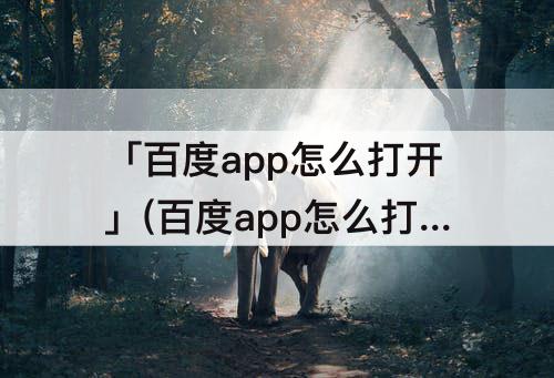 「百度app怎么打开」(百度app怎么打开多个窗口)