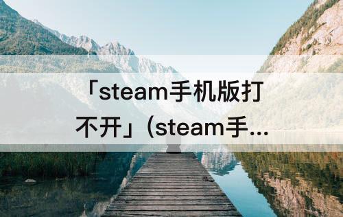 「steam手机版打不开」(steam手机版打不开个人资料)