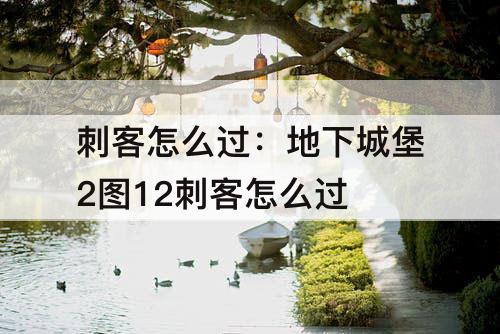 刺客怎么过：地下城堡2图12刺客怎么过