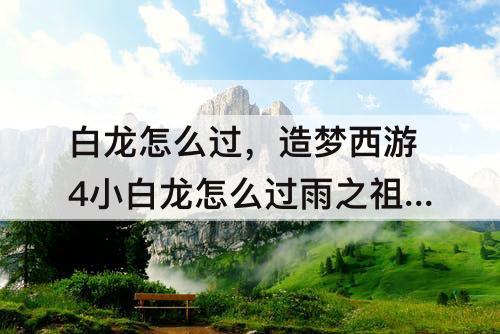 白龙怎么过，造梦西游4小白龙怎么过雨之祖巫
