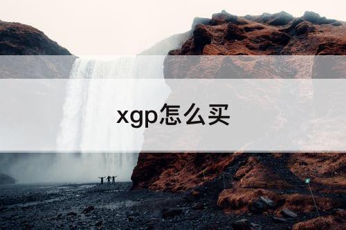 xgp怎么买