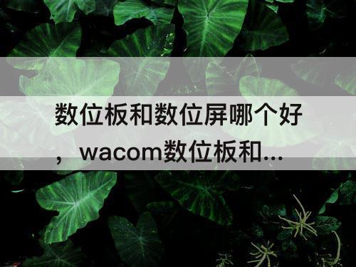 数位板和数位屏哪个好，wacom数位板和数位屏哪个好