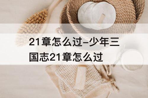 21章怎么过-少年三国志21章怎么过