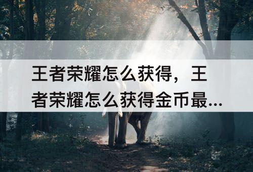 王者荣耀怎么获得，王者荣耀怎么获得金币最快