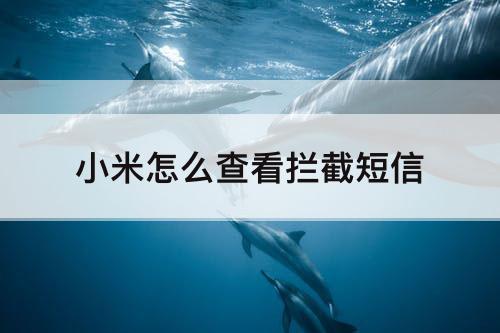 小米怎么查看拦截短信
