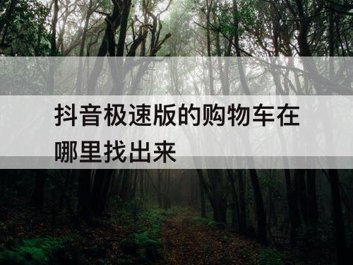 抖音极速版的购物车在哪里找出来