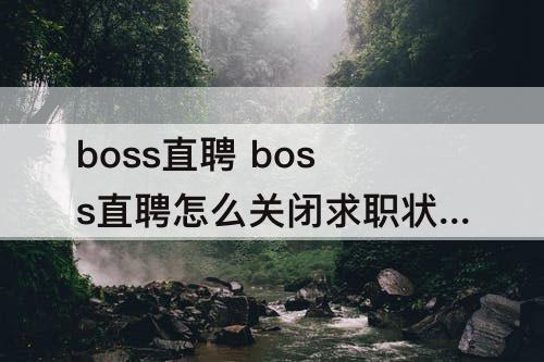 boss直聘 boss直聘怎么关闭求职状态