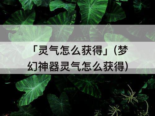 「灵气怎么获得」(梦幻神器灵气怎么获得)