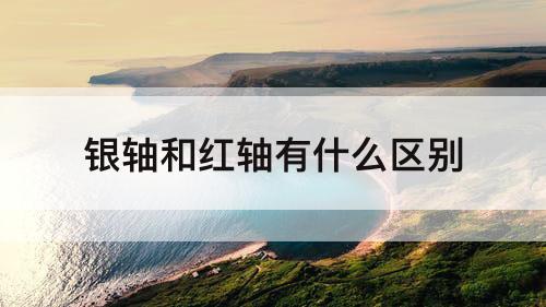 银轴和红轴有什么区别