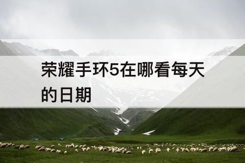 荣耀手环5在哪看每天的日期