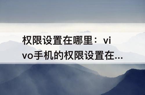 权限设置在哪里：vivo手机的权限设置在哪里设置