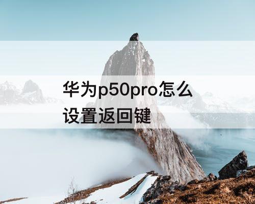 华为p50pro怎么设置返回键