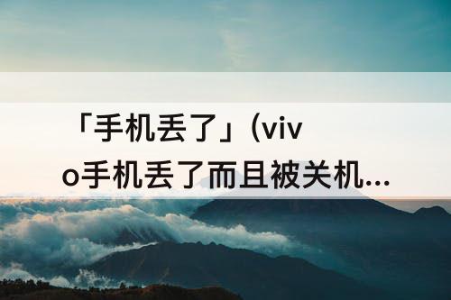 「手机丢了」(vivo手机丢了而且被关机了怎么办)