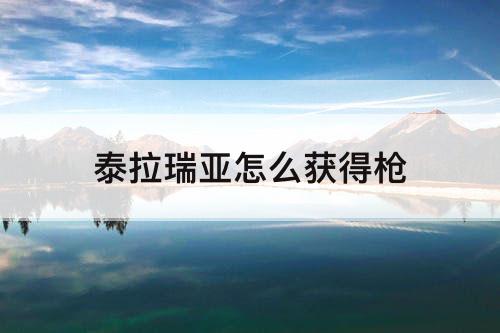 泰拉瑞亚怎么获得枪