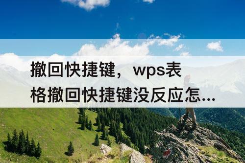 撤回快捷键，wps表格撤回快捷键没反应怎么办