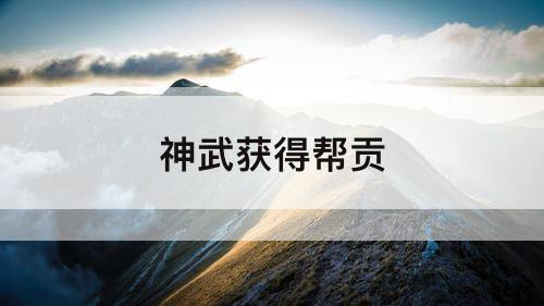 神武获得帮贡