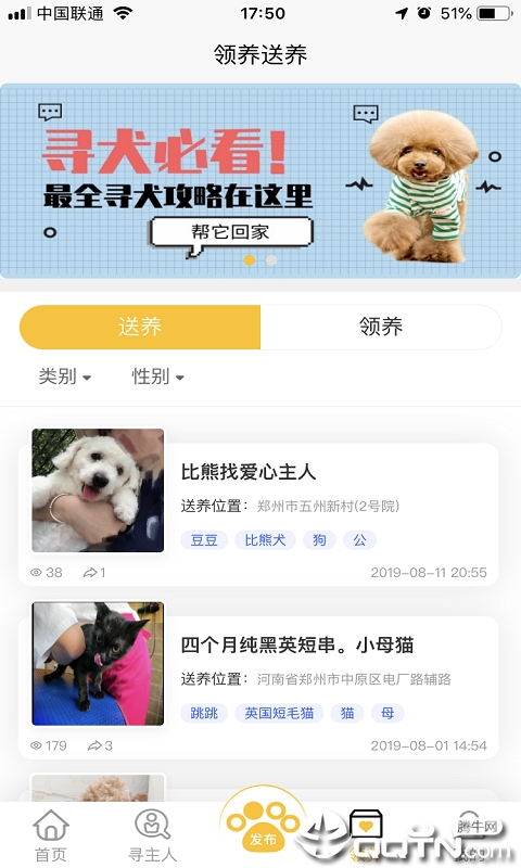 找狗寻狗