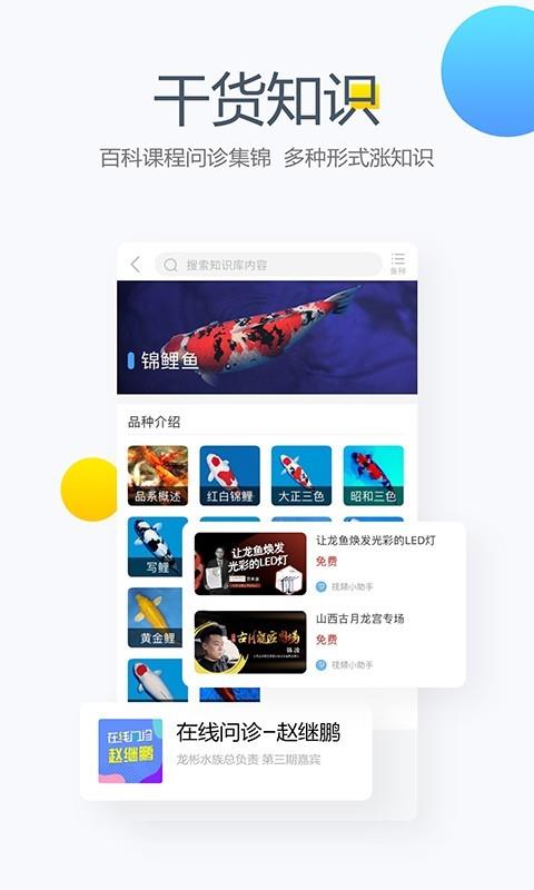 鱼邻截图