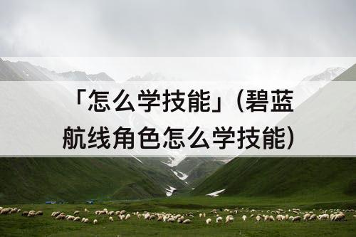 「怎么学技能」(碧蓝航线角色怎么学技能)