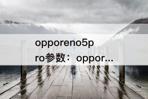 opporeno5pro参数：opporeno5pro参数12+256怎样