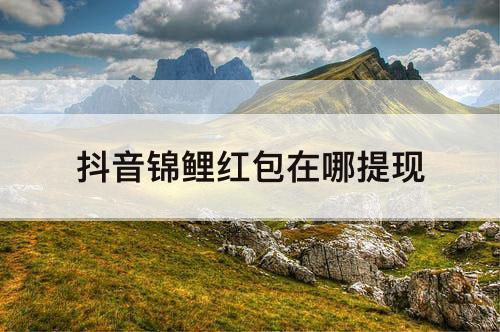 抖音锦鲤红包在哪提现