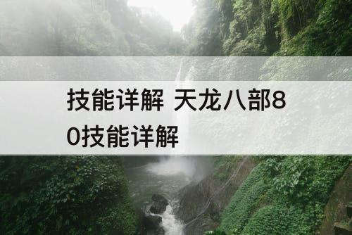 技能详解 天龙八部80技能详解