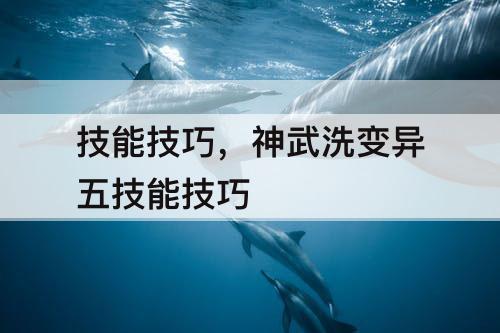 技能技巧，神武洗变异五技能技巧