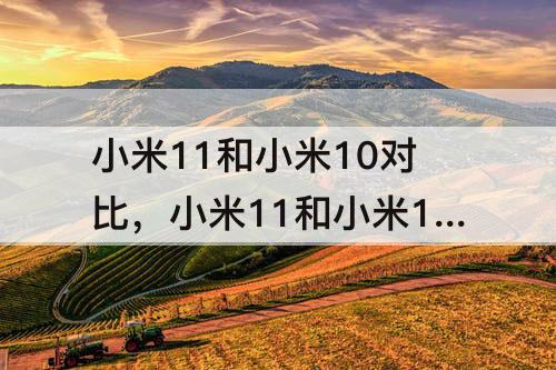 小米11和小米10对比，小米11和小米10对比参数