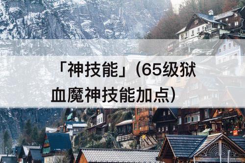 「神技能」(65级狱血魔神技能加点)