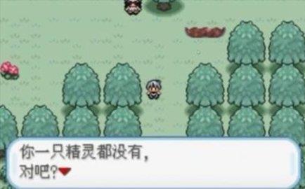 口袋妖怪火箭队最新版