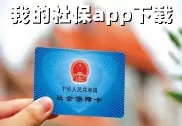 我的社保