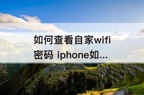 如何查看自家wifi密码 iphone如何查看自家wifi密码