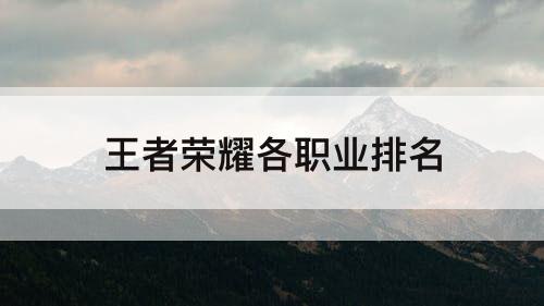 王者荣耀各职业排名