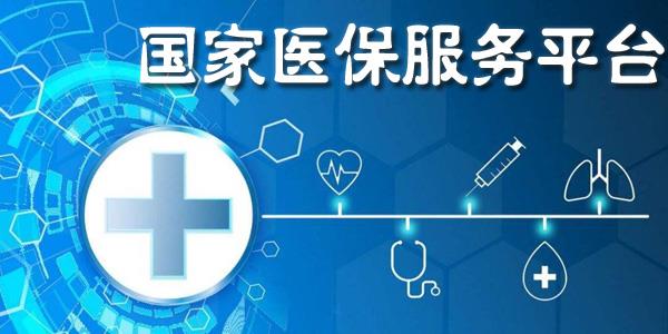 国家医保服务平台