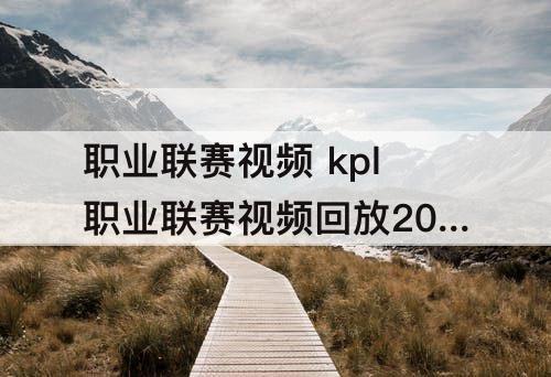 职业联赛视频 kpl职业联赛视频回放2016