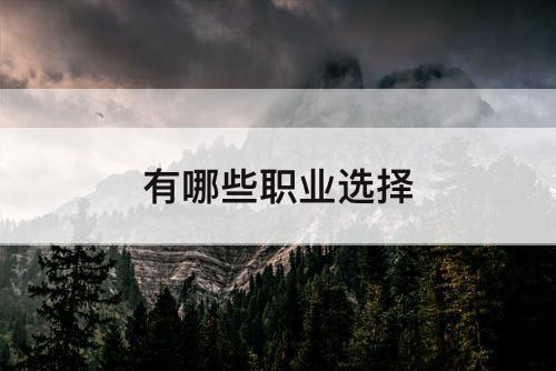 有哪些职业选择