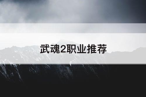 武魂2职业推荐