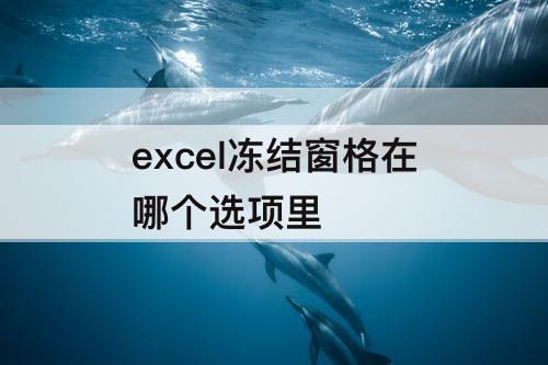 excel冻结窗格在哪个选项里