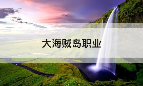 大海贼岛职业