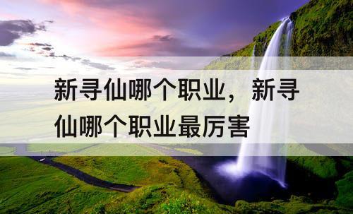 新寻仙哪个职业，新寻仙哪个职业最厉害