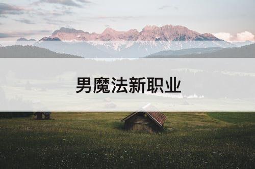 男魔法新职业