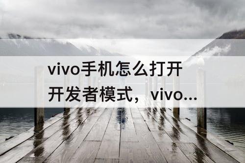 vivo手机怎么打开开发者模式，vivo手机怎么打开开发者模式设置5g网