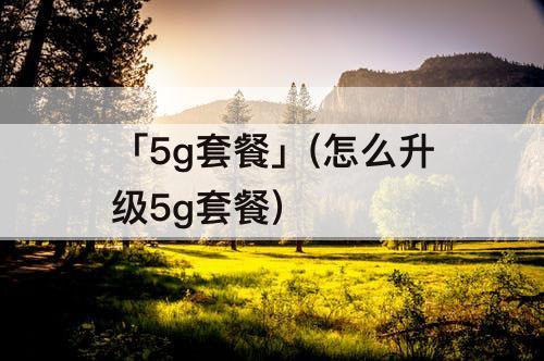 「5g套餐」(怎么升级5g套餐)