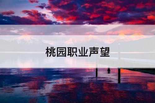桃园职业声望