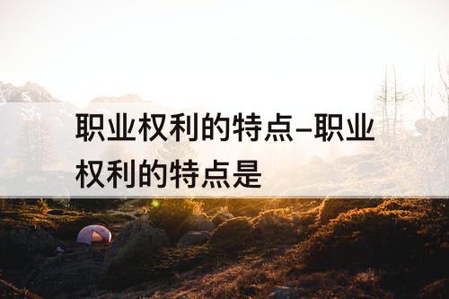 职业权利的特点-职业权利的特点是