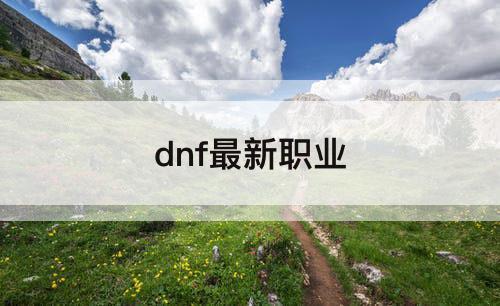 dnf最新职业