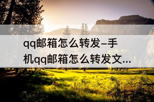 qq邮箱怎么转发-手机qq邮箱怎么转发文件给别的邮箱