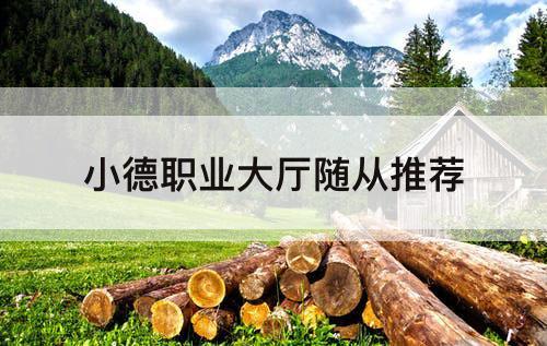 小德职业大厅随从推荐