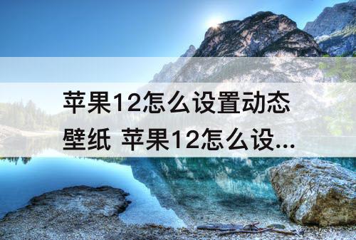 苹果12怎么设置动态壁纸 苹果12怎么设置动态壁纸桌面为什么不会动